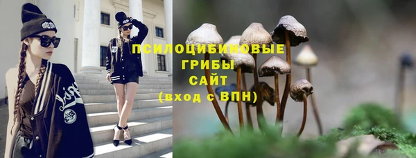 мяу мяу мука Осинники