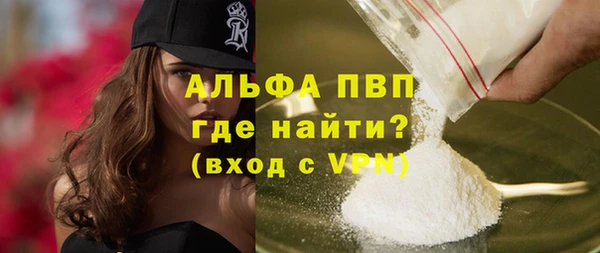 хмурый Няндома