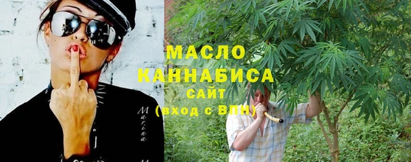хмурый Няндома