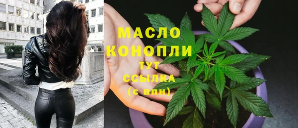 хмурый Няндома