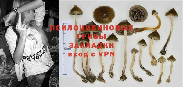 хмурый Осташков