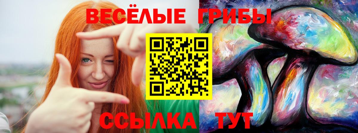 Галлюциногенные грибы Psilocybine cubensis  Псилоцибиновые грибы мицелий  Кизляр  Вход с VPN 